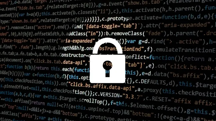 Software Security for Startups and Scale-ups